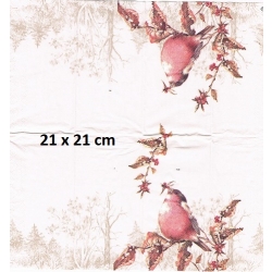 Chusteczka mini 21x21cm / Cena 1 sztuki / ptaszki / -3388-